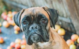 Nicolas FRUCHART - NICOLAS FRUCH'ART PHOTOGRAPHY