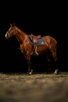 Roland ADOLPHE - Photographie d'un clic